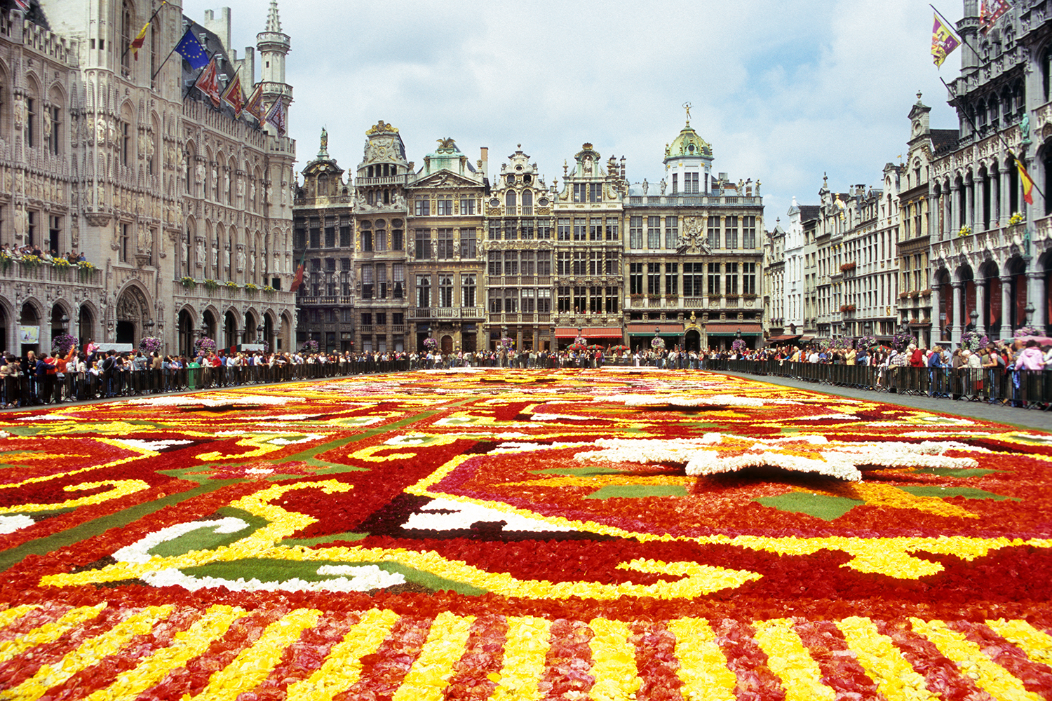 Brussels Flower Carpet View Grand Place